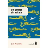 Un hombre sin paisaje