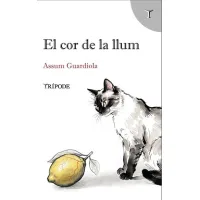 El cor de la llum
