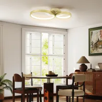 Lámpara De Techo Led 40w 3000 K/4000 K/6500 K Para Dormitorio Salón Cocina Comedor Dorado