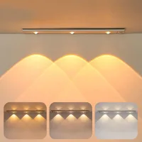 Lámpara Led De 40 Cm Para Armario Con Sensor De Movimiento, Recargable Por Usb, Inalámbrica, Con 3 Modos De Iluminación Y Fijación Magnética Para Armarios, Pasillos Y Garajes - Plateada