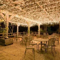 Guirnalda De Luces Para Bodas De Carnaval – Para Uso Interior Y Exterior, 10 M, 100 Led