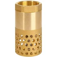 Válvula De Retención Para Bomba De 1 Pulgada - Válvula De Pie, Válvula De Retención Para Tamiz (1 Pulgada)