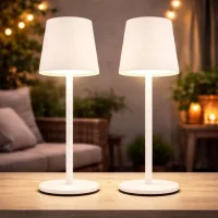 Lampe De Table Led Akku Lampe De Table Cct Touch Intérieur Extérieur Blanc Opale Lampe De Jardin Touchdimmer Usb, Métal, 2w 50lm Blanc Chaud-froid, Dxh 8,5x28 Cm, 2er Set