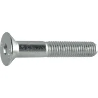 Iso10642  08.8 M10x110 Verzinkt Senkschraube Mit Innensechskant (~din7991)