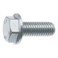 Tornillo  Hexagonal  Con  Brida  R  88913  Con  Costilla  De  Bloqueo  Vg  M10x20  100  Galv.verz.  200st.