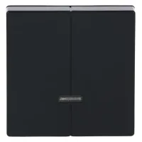 Busch-jaeger Elemento De Mando Para Atenuador Pulsador Doble Con Lámpara De Neón Antracita - Plataforma 63 (6545-81), 2cka006599a2906