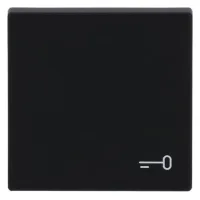 Busch-jaeger Balancín Con Impresión Símbolo "llave" Para Interruptor/pulsador, 1 Vez Negro Mate - Plataforma 63 (2520 Tr-885), 2cka001751a3202