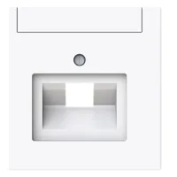Busch-jaeger Tapa Central Con Campo De Rotulación Conector De Comunicación 1 Vía Blanco Estudio - Busch-art Linear® (1803-44g), 2cka001710a4219