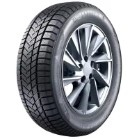 Sunny Wintermax NW211 225/50 R17 98V Neumáticos