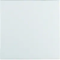 Cubierta De Interruptor Berker 16291909 Mate Ip44