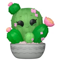Cactus Barril Flora Planta De Interior De Bajo Mantenimiento 15 Cm De Alto