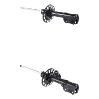 RIDEX 854S21035 Amortiguador