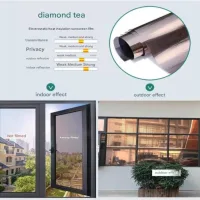 (500 cm x 50 cm) lámina de protección solar unidireccional, lámina de privacidad, lámina de protección solar, adhesivo para vidrio