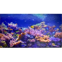 3d pvc paneles de pared en relieve diseño realista papel pintado ocean