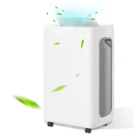 Deshumidificador para sótano y baño, 16 l/24 h, descongelación automática