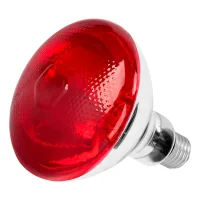 Lámpara de calentamiento por infrarrojos,vidrio duro transparente a prueba de explosiones (rojo,100 vatios, 220 voltios).