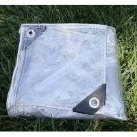Zaewry lona de pvc transparente gruesa con ojales, impermeable y resistente al viento, ideal para jardines y cubiertas de muebles (2 m x 5 m)