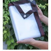 Fuleadture lona impermeable transparente, protección contra lluvia y nieve, con ojales reforzados, para embarcaciones y obras de construcción (2*4m)