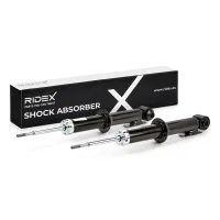 RIDEX 854S18618 Amortiguador