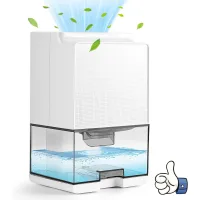 Deshumidificador doméstico 1000ml, deshumidificador de aire, apagado automático, descongelación automática y silencioso