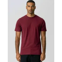 TEESHOPPEN Camisa ' Organic Basic '  borgoña