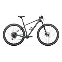 Conor WRC Xtrem GX AXS 29"