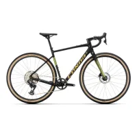 Conor Selva Rival AXS GX