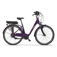 Ecobike Traffic Violet
