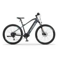 Ecobike SX300