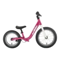 KTM Wild Buddy 12