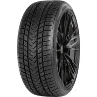 Gripmax Suregrip Pro Winter 275/30 R21 98V Neumáticos