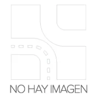 MASTER-SPORT 3338081K-PCS-MS Amortiguador