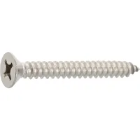 Din7982c 4.2x 16 Phillips-ks Edelstahl A2 Senkkopf-blechschraube ~iso 7050