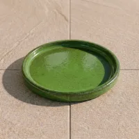 Platillo Redondo 20cm Verde Intenso