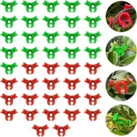 Plantes Pour Entraînement, 42 Pcs Clip Plante En Plastique, Clips D'Entraînement Pour Plantes, Pinces D'Entraînement Pour Plantes Pour Plier Les Tiges Des Plantes Et Réorienter La Croissance.