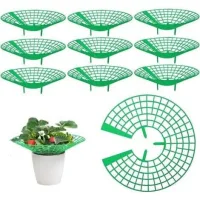 Bunthaus 10 Pièces Supports Pour Fraisier, Supports Pour Plantes Fraises Protection De Fraises De Jardin Supports De Culture De Fraises Tour Fraises Filets De Fraises Pour Plantes, Légume, Fleur