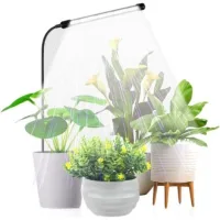 Bunthaus Lampes Horticoles D'Intérieur, Lampes Horticoles À Spectre Complet À Col De Cygne, Semis De Plantes Succulentes, Petites Plantes