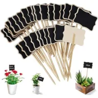 Bunthaus Étiquette De Jardin 30 Pieces T-type Étiquettes Plantes En Imperméable Etiquettes De Plantes En Ardoise Pour Jardin Graines Arbres Herbes Fleurs