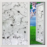 2 láminas adhesivas esmeriladas para ventanas, ideales para preservar la privacidad en ventanas de salas de estar (60 x 200 cm).